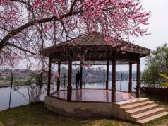 Patio atau Gazebo? Pahami Perbedaan dan Fungsinya
