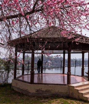 Patio atau Gazebo? Pahami Perbedaan dan Fungsinya